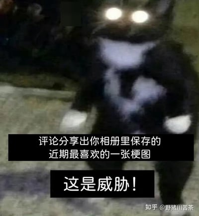 整张图拍摄场景为夜晚的户外水泥地面，主体是一个模糊的黑白色黑猫人偶，人偶双眼发出显眼的白光，视觉上带有诡异的威慑感。图下方配有两行黑底白字的文案，第一行内容为“评论分享出你相册里保存的近期最喜欢的一张梗图”，第二行是加粗的“这是威胁！”，用看似恐吓的语气半开玩笑地向网友征集梗图，整体风格诙谐有趣，右下角带有“知乎 @野猪川苦茶”的水印。