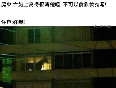 这是一张利用文字漏洞制造反差笑点的梗图，上方是房东与住户的对话：房东强调合约禁止养猫狗，住户爽快答应；下方配图是夜晚居民楼的房间里出现一匹马的剪影，住户钻了合约仅限制猫狗的空子，养了马，用这种出乎意料的神操作制造搞笑效果，充满脑洞与反差感。