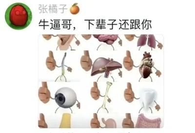 这是一张社交媒体动态截图，顶部显示用户“张橘子”的头像与昵称，配文“牛逼哥，下辈子还跟你”，下方搭配一张经过P图改编的拟人化人体器官图。图中的多种人体器官（包括大脑、肺、肝脏、心脏、眼球、骨骼、牙齿等）被添加了手臂和双腿，呈现出拟人化的站立姿态，旁边的手都做出竖大拇指的点赞动作。整体内容玩了“牛逼”的谐音梗，用夸张的拟人化器官点赞的方式，调侃式地表达对“牛逼哥”的认可与佩服，风格搞笑诙谐，属于典型的网络社交平台流传的梗图。