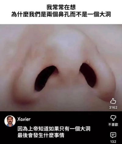 图片上方配有文字“我常常在想 为什么我们是两个鼻孔而不是一个大洞”，中间是真人鼻子的特写镜头，清晰展示两个鼻孔的结构，下方是用户“Xavier”的评论“因为上帝知道如果只有一个大洞 最后会发生什么事情”。整体通过真实的鼻子特写与幽默文字结合，以夸张的提问引发笑点，属于轻松搞笑的社交媒体梗图。