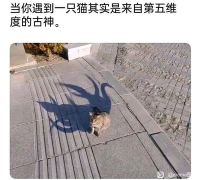暂无描述
