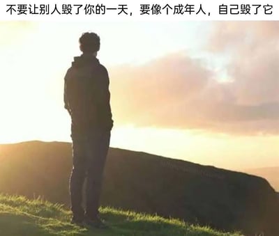 这是一张带有自嘲文字的实拍静态图，画面主体是一个真人的黑色剪影，他站立在覆盖着青草的山坡上，背景是黄昏时分暖色调的天空与深色岩石，整体氛围原本显得宁静开阔。图片上方配有白色文字：“不要让别人毁了你的一天，要像个成年人，自己毁了它”，以反讽的方式调侃成年人的生活现状——无需他人影响，自己就会被生活中的琐事、内耗等因素打乱节奏，毁掉原本的一天，用扎心的幽默引发成年人的共鸣。右下角岩石处有模糊的英文水印，无法清晰辨认具体内容。