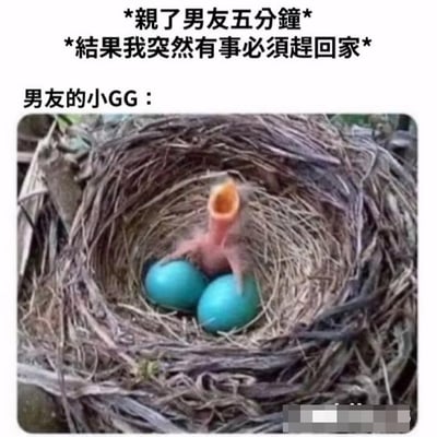 这张梗图上方有文字描述："*亲了男友五分鐘* *結果我突然有事必須趕回家* 男友的小GG："，下方是一张鸟巢的照片，巢中有两枚蓝色鸟蛋和一只张大嘴巴等待喂食的幼鸟。图片通过比喻手法，将男友因亲密被打断后的反应幽默地比作等待喂食的幼鸟，营造出搞笑效果。