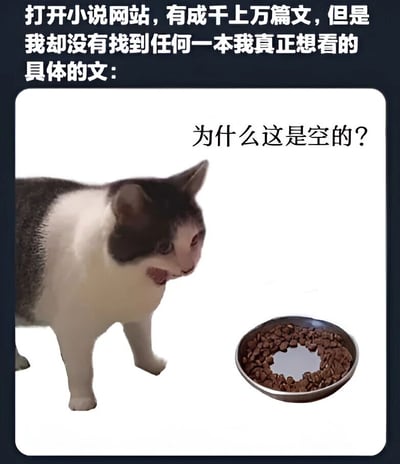 图片上方文字描述了打开小说网站时，面对成千上万篇文却找不到一本真正想看的困境。下方是一只黑白相间的猫，正疑惑地看着面前装满猫粮但中间有一个圆形空缺的碗，碗上方配有文字'为什么这是空的？'。通过猫面对看似有食物却实际空缺的碗的困惑表情，比喻人们在海量小说中反而找不到心仪作品的无奈与迷茫。