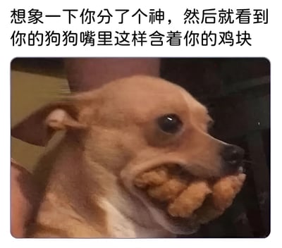 图片上方配有文字“想象一下你分了个神，然后就看到你的狗狗嘴里这样含着你的鸡块”，下方是一张实拍图：一只棕色的小型犬（疑似吉娃娃）嘴巴鼓鼓地含着多块炸鸡块，眼睛睁大看向一侧，表情既惊讶又带着一丝心虚，生动展现了宠物趁主人不注意偷吃东西被抓包的搞笑场景。