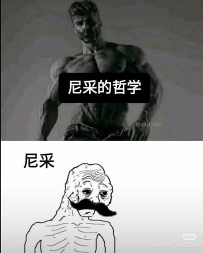 梗图分为上下两部分。上半部分是一位肌肉发达、身材健硕的男性黑白照片，胸前配有文字“尼采的哲学”，象征尼采哲学思想的强大与震撼力；下半部分是一幅简笔画风格的瘦弱男性形象，留着小胡子，肋骨清晰可见，旁边标注“尼采”，描绘出人们印象中尼采本人身体孱弱的形象。通过强烈的视觉对比，幽默地展现了尼采哲学的“力量感”与他本人“虚弱感”之间的反差萌。