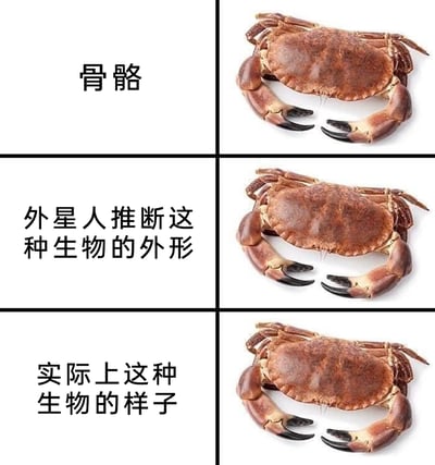 这是一张由三行内容组成的图文拼接梗图，每行左侧为文字标注，右侧为同一只螃蟹的图片：第一行标注“骨骼”，对应螃蟹图；第二行标注“外星人推断这种生物的外形”，对应同样的螃蟹图；第三行标注“实际上这种生物的样子”，还是对应这只螃蟹图。该图的趣味点在于，螃蟹属于节肢动物，拥有外骨骼，其骨骼就是身体的外壳，所以无论是它的骨骼、外星人事后推断的外形还是实际形态，都是同一个样子，用重复的画面调侃了螃蟹这一特殊的生物学特性。