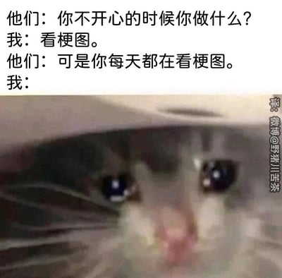 这是一张图文混排的静态梗图，整体分为上下两部分，上方是三段对话文字，下方是一张猫咪的脸部特写图。对话内容为：他人询问“我”在不开心时会做什么，“我”回答看梗图，他人随即指出“我”每天都在看梗图，最后“我”没有用文字回应，而是用下方这只眼睛湿润、表情委屈可怜的猫咪来表达自己的状态，暗示自己其实一直处于不开心的情绪中，只能靠看梗图来排解。这张梗图通过自嘲的方式，生动展现了长期情绪低落却只能依靠网络内容缓解的状态，容易引发有相似经历人群的共鸣。