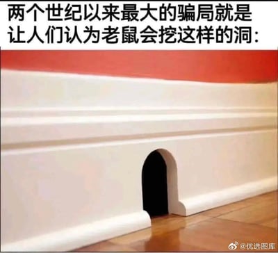 这张梗图上方配有夸张的文字：“两个世纪以来最大的骗局就是让人们认为老鼠会挖这样的洞：”，下方是一张室内踢脚线的实拍照片，照片里的踢脚线有一个类似老鼠洞的拱形缺口，但实际上这是建筑装饰的设计，并非老鼠挖掘的洞穴。梗图用这种反差感调侃了人们对“老鼠洞”的刻板印象，制造出搞笑的脑洞效果。