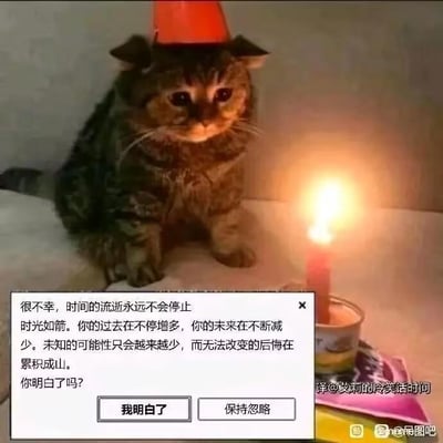 图中是一只戴着简易红色小帽子的狸花猫，它安静地坐在桌前，面前的容器里插着一根点燃的生日蜡烛，小猫眼神低垂、表情忧郁低落，看起来毫无过生日的开心氛围。画面下方叠加了一个模仿电脑系统弹窗的白色文字框，里面的文字充满了现实的焦虑感：“很不幸，时间的流逝永远不会停止。时光如箭。你的过去在不停增多，你的未来在不断减少。未知的可能性只会越来越少，而无法改变的后悔在累积成山。你明白了吗？”，弹窗底部还有“我明白了”和“保持忽略”两个模拟按钮。这张图用本该温馨的生日场景，搭配戳中年龄焦虑的扎心文字，形成强烈反差，精准表达了人们在生日时对时间流逝、青春不再的无奈与焦虑，没有双关、谐音梗等内容。