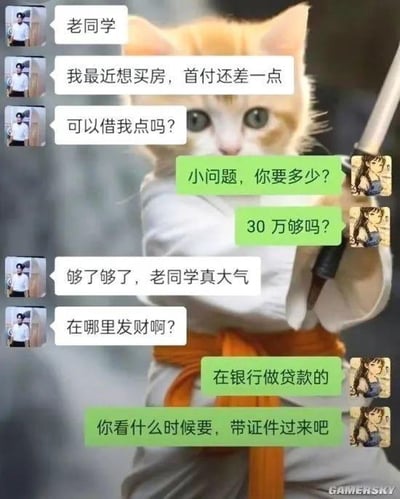 图片主体是一只穿着和服、手持武士刀的猫咪，周围环绕着模拟聊天对话的气泡框。左侧对话框（配男性头像）显示“老同学”询问借钱买房首付，右侧绿色对话框（配女性头像）先是爽快答应“小问题，30万够吗”，在对方感谢后才揭晓“在银行做贷款的，带证件过来吧”。通过反差制造幽默效果，调侃贷款推销场景。