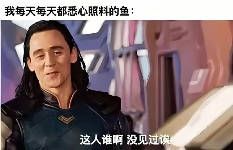 洛基