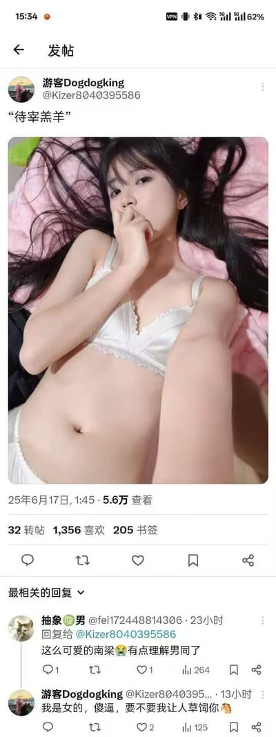这是一张海外社交平台的帖子截图，用户“游客Dogdogking”发布了自己身着白色内衣的躺卧自拍，配文“待宰羔羊”，该帖子获得5.6万查看量与1356个喜欢。评论区中用户“抽象🐶男”误将发布者认作男性，留言称“这么可爱的南梁🥺有点理解男同了”，发布者随即怒怼回复“我是女的，傻逼，要不要我让人草饲你🦄”，形成了因性别误会引发的评论区争执场景。