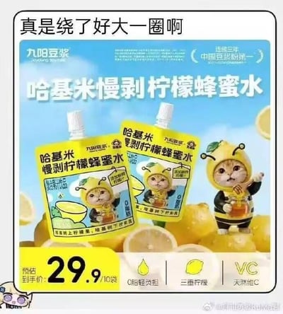 这是一张玩网络热梗的趣味套娃商品广告图，图片顶部配文“真是绕了好大一圈啊”，主体展示九阳豆浆推出的“哈基米慢剥柠檬蜂蜜水”可吸袋装产品，产品包装本身就印有穿柠檬蜜蜂造型服装的小猫（“哈基米”为网络谐音，泛指小猫）图案，包装外还摆放了一个同造型的实体小猫手办，形成“手办印包装，包装又印同款图案”层层嵌套的套娃效果，完美呼应顶部“绕了好大一圈”的文案。图片底部标注了产品预估到手价29.9元/10袋，同时列出产品卖点：0脂轻负担、三重柠檬、天然维C，整体利用谐音和套娃结构制造出趣味效果。