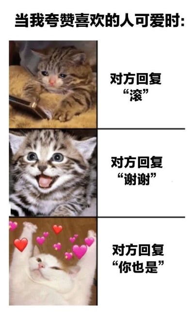 这是一张竖版多图拼接的图文混排梗图，上方标题为“当我夸赞喜欢的人可爱时:”。左侧包含三张猫咪图片，右侧对应三种不同回复文字。第一张图是趴在毯子上的虎斑小猫，爪子轻触手机，右侧文字“对方回复‘滚’”；第二张是睁大眼睛、嘴巴张开的虎斑小猫，右侧文字“对方回复‘谢谢’”；第三张是仰卧举爪、周围有粉色爱心图案的白猫，右侧文字“对方回复‘你也是’”。通过猫咪的不同表情和动作，幽默展现了被夸赞时可能出现的三种反应。