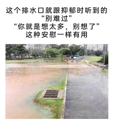 这是一张讽刺类梗图，采用“文字+实拍图”的形式呈现。上方的配文将道路旁完全无法发挥排水作用的排水口，类比成人们在抑郁情绪中听到的“别难过”“你就是想太多，别想了”这类话语，指出两者同样“无用”。下方的实拍图清晰展示了雨后的场景：路面大面积淤积浑浊的积水，而本应承担排水功能的排水口，位置明显高于积水的路面，完全无法接触到积水，形同虚设。这一对比精准地讽刺了那些看似在安慰他人，却完全没有触及问题核心、无法真正缓解情绪的无效安慰，让有过类似经历的人产生强烈共鸣，同时也吐槽了城市排水设施设计的不合理。