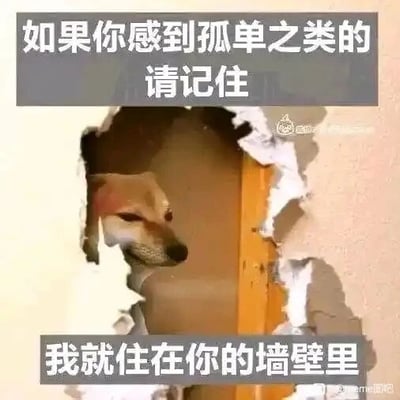 这是一张P图改编的顶配底文静态梗图，画面中一只狗狗从被破坏的墙洞里探出头，表情蔫蔫的看起来有些委屈。图片上下配有文字：“如果你感到孤单之类的请记住”“我就住在你的墙壁里”，用一种夸张荒诞的设定来安慰孤单的人，传递出暖心的陪伴感，没有双关、谐音梗等内容，整体风格搞笑又治愈。