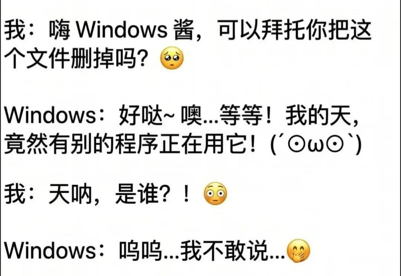 Windows操作系统