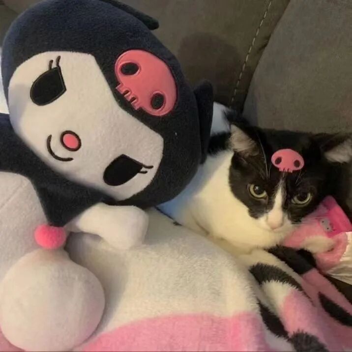 三丽鸥