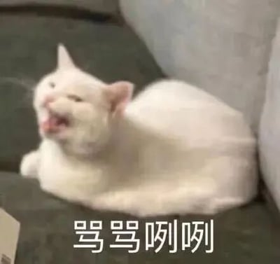 这是一张静态的文字加注类表情素材图，画面主体是一只趴在深色沙发上的白色家猫，猫咪眯起一只眼睛，嘴巴张开，露出舌头与牙齿，神态看起来充满不满，仿佛正在碎碎念、发牢骚。图片下方配有黑色简体中文文字“骂骂咧咧”，将猫咪的神态拟人化，精准地传递出心中有不满、正在小声抱怨的情绪，常被用作社交聊天中的情绪表达素材，帮助使用者抒发吐槽、不满的心情。