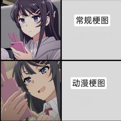 四格漫画式对比图，通过同一动漫角色的不同表情展现常规梗图与动漫梗图的差异。左上格中女孩手持粉色兔子手机，表情略带困惑；右上格标注'常规梗图'；左下格中女孩表情变为微笑，仍持同款手机；右下格标注'动漫梗图'。通过角色表情变化幽默呈现两种梗图类型的区别。