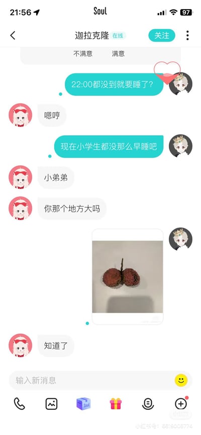 这是一张Soul app的聊天记录截图，展示了两名用户的趣味对话。一方用户“迦拉克隆 在线”先调侃对方“22:00都没到就要睡了？现在小学生都没那么早睡吧”，对方回应“小弟”后反问“你那个地方大吗”，“迦拉克隆 在线”则发送了一张两颗荔枝的图片作为回应，随后对方回复“知道了”。对话中用荔枝图片巧妙回应“地方大吗”的问题，带有幽默调侃的意味。