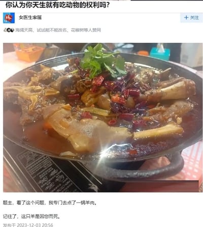 这是一张社交媒体截图，内容为用户“女医生家属”对“你认为你天生就有吃动物的权利吗？”这一问题的回应。截图上方显示问题及用户信息，中间是一锅热气腾腾的羊肉火锅照片，锅内有大块羊肉、红辣椒和香菜点缀，汤汁浓郁。下方配文“题主，看了这个问题，我专门去点了一锅羊肉。记住了，这只羊是因您而死。”，以幽默调侃的方式回应了关于动物权利的伦理讨论。