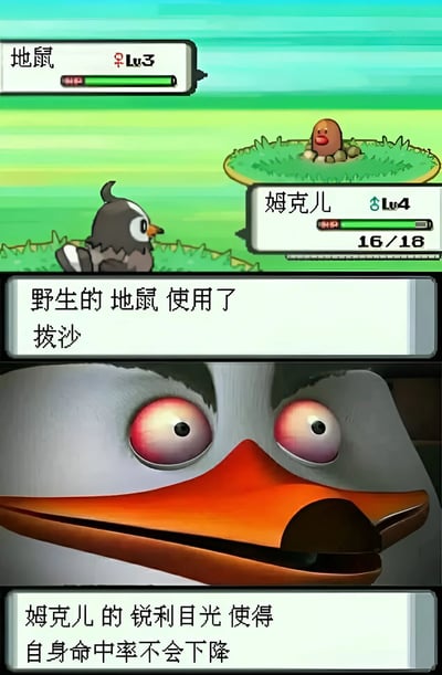 图片上半部分是宝可梦游戏战斗场景，显示野生地鼠（Lv3）对姆克儿（Lv4）使用了技能"拔沙"。下半部分则是一张表情夸张的鸟脸特写，配合文字"姆克儿的锐利目光使得自身命中率不会下降"，形成幽默反差效果。