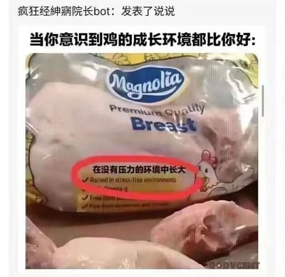 这是一张QQ空间说说的截图，发布者“疯狂神经病院长bot”配文“当你意识到鸡的成长环境都比你好”，并附上了Magnolia品牌鸡胸肉的实拍图。包装上明确标注“在没有压力的环境中长大（Raised in stress-free environments）”，通过将无压力成长的鸡与当代年轻人、打工人普遍承受生活、职场压力的现状进行对比，以自嘲、吐槽的方式戳中当代人的压力痛点，引发情感共鸣，风格搞笑又扎心。