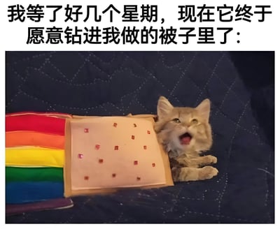 图片上方文字表达了主人等待数周后终于看到小猫使用自制被子的喜悦。下方照片中，一只浅棕色的小猫从手工制作的被子里探出头，嘴巴张开，像是在打哈欠或喵喵叫。被子左侧是彩虹条纹设计，右侧为米色布料，上面有多个红色小方块装饰和镂空孔洞，整体放置在深蓝色菱形格纹的背景上。画面充满温馨可爱的宠物日常氛围。