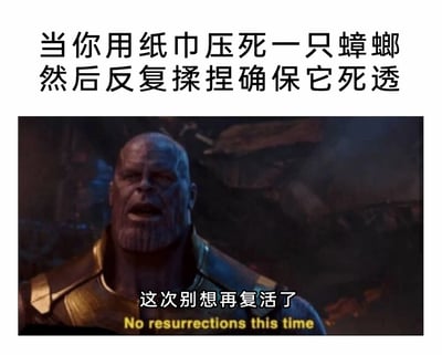 这是一张图文结合的搞笑梗图，上方配有中文文字“当你用纸巾压死一只蟑螂然后反复揉捏确保它死透”，描述了人们日常处理蟑螂时，因蟑螂生命力顽强而反复确认其死亡的行为；下方是漫威《复仇者联盟》系列电影中角色灭霸的影视截图，灭霸表情严肃、嘴巴微张，截图下方配有他的经典台词“这次别想再复活了”及对应的英文“No resurrections this time”。图片将人们担心蟑螂“复活”（因蟑螂生命力顽强，常给人打不死的印象）的日常心态，通过灭霸这句充满决绝感的台词来放大，利用影视角色的经典话语与日常小事的反差，制造出幽默搞笑的效果，精准戳中人们对蟑螂的“执念”。