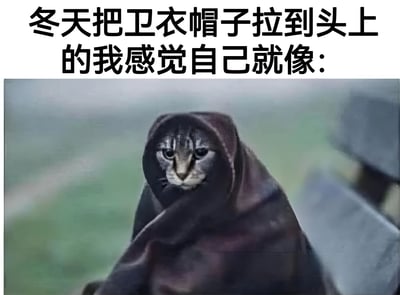 图片上方是黑色加粗文字：'冬天把卫衣帽子拉到头上的我感觉自己就像：'，下方是一张猫咪照片。猫咪被深色布料包裹，只露出脸部，眼神严肃，姿态酷似人在冬天拉起卫衣帽子保暖的样子，通过拟人化对比制造幽默效果。