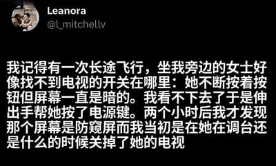 这是一张社交媒体截图，内容为用户Leanora分享的个人经历：在一次长途飞行中，看到邻座女士不断按按钮但电视屏幕仍暗着，便出手帮按电源键，两小时后才发现那是防窥屏，自己其实是在对方调台时关掉了电视，充满尴尬又搞笑的误会场景。