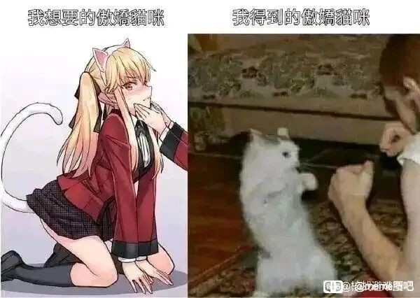 《狂赌之渊》动画