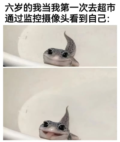 图片上方配有文字“六岁的我当我第一次去超市通过监控摄像头看到自己:”，下方是两张拼接的壁虎照片。第一张照片中壁虎睁着大眼睛，表情好奇地探头；第二张照片中壁虎微微张开嘴巴，眼神中带着一丝惊讶和困惑。通过将童年第一次在超市监控中看到自己的感受，幽默地类比为壁虎的可爱表情，展现了孩子视角下监控画面中自己形象的陌生与有趣，充满童真和搞笑氛围。