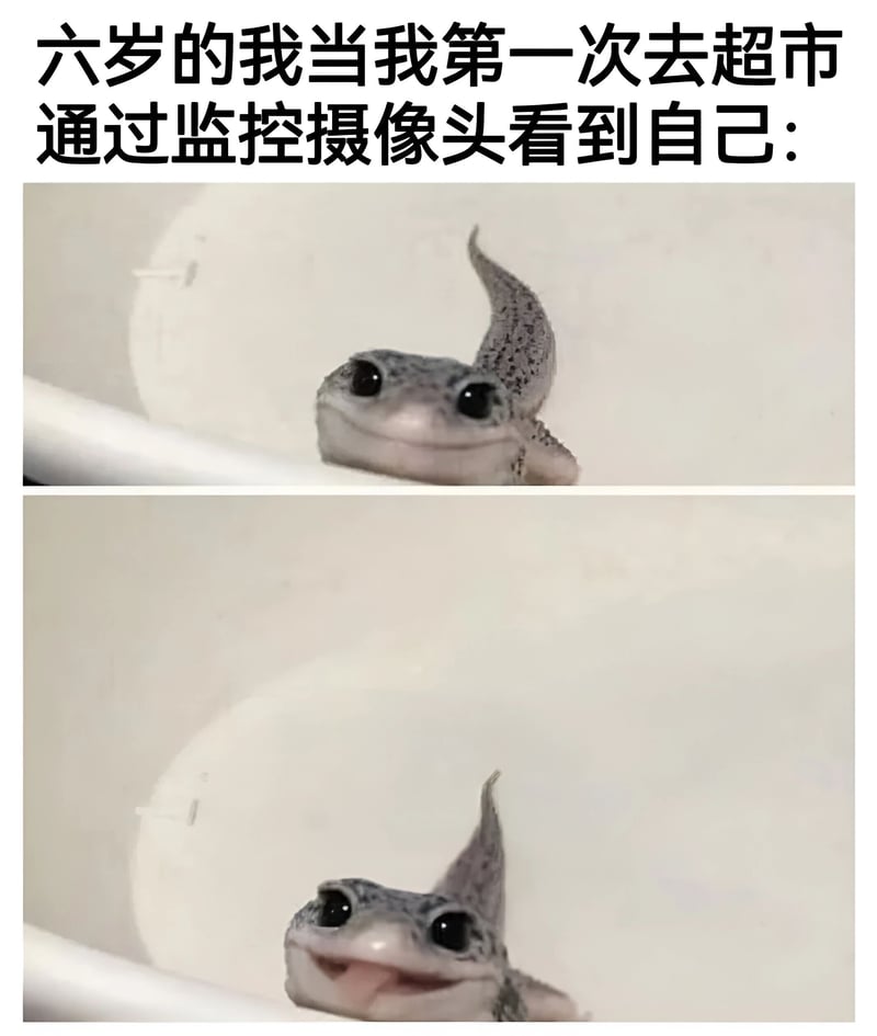 壁虎