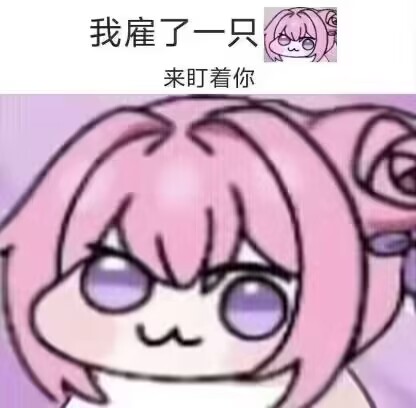 我雇了一只doro来盯着你