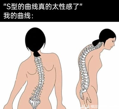 这是一张左右对比的搞笑梗图，上方配有文字“S型的曲线真的太性感了”和“我的曲线:”，以此制造反差笑点。左侧展示的是拥有正常生理S弯脊柱的人体背部示意图，代表大众认知里健康的体态；右侧则是脊柱严重变形、呈现夸张病态S型的人体侧面示意图，用自嘲的方式调侃自己的体态并非审美中那种性感的S型身材，而是因久坐、不良习惯等导致的脊柱变形，通过夸张对比来调侃当代人的体态问题，同时以幽默的方式消解身材焦虑，表达对自身体态的无奈。
