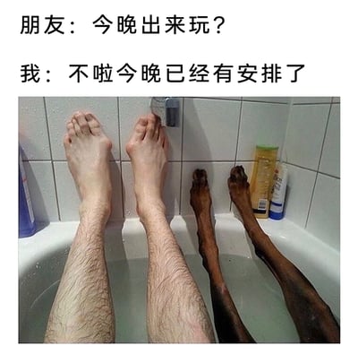这是一张图文结合的搞笑梗图，上方设置了两段生活化对话：朋友发出晚上外出游玩的邀请，“我”则回复自己今晚已有安排。下方的图片利用视觉错位效果，将人的腿与狗狗的腿并排呈现在浴缸中，营造出人和宠物一同泡澡的画面，以此具象化“我”的“安排”——宅在家里陪伴宠物泡澡，用幽默的方式表达了更倾向于宅家享受和宠物的独处时光、拒绝外出社交的心态，视觉错位的设计放大了搞笑效果。