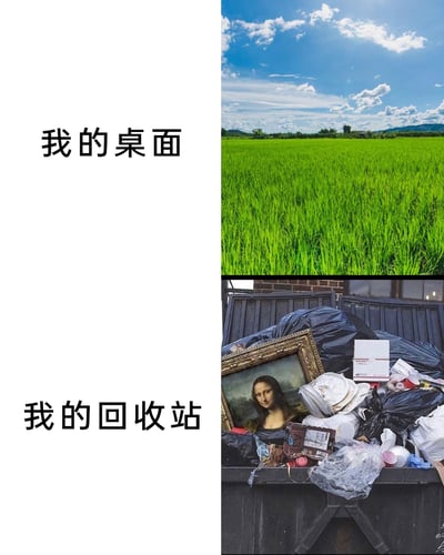 这是一张采用上下对比形式的趣味梗图，上半区域左侧配有文字“我的桌面”，右侧对应展示一片绿意盎然、整洁空旷的稻田，营造出桌面干净无物的清爽视觉感受；下半区域左侧配有文字“我的回收站”，右侧对应呈现一个被各类杂物堆满的垃圾桶，其中甚至包含被丢弃的达芬奇名作《蒙娜丽莎》的装裱画作，与上半部分的整洁形成极其强烈的反差，以夸张幽默的方式自嘲，调侃自己看似整洁的桌面背后，回收站里堆积了大量被废弃的“重量级”物品，充满趣味性与共鸣感。