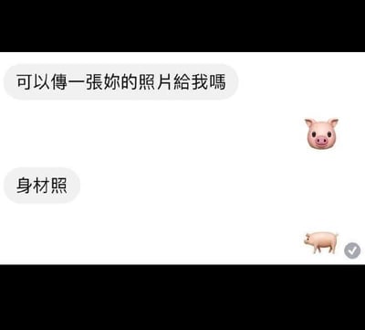 这是一张聊天记录截图，聊天中一方向对方索要个人身材照，先后发送文字“可以传一张你的照片给我吗”和“身材照”，被索要的一方没有发送真人照片，而是发送了两个猪相关的emoji：一个猪头emoji、一个完整的全身猪emoji，用猪头加全身猪凑出“猪的身材照”，玩文字梗暗讽索要照片的人是猪，是幽默的整蛊调侃回应。