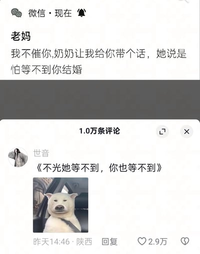 这是一张微信聊天记录截图，显示老妈发来的消息："我不催你,奶奶让我给你带个话，她说是怕等不到你结婚"。下方是评论区截图，最高赞评论来自用户"世音"，内容为"《不光她等不到，你也等不到》"，并配有一张坐在车内的白狗表情包，狗狗表情严肃，形成幽默的反差效果。整体通过家人催婚的常见场景与犀利评论的结合，展现了当代年轻人面对催婚压力的无奈与调侃。