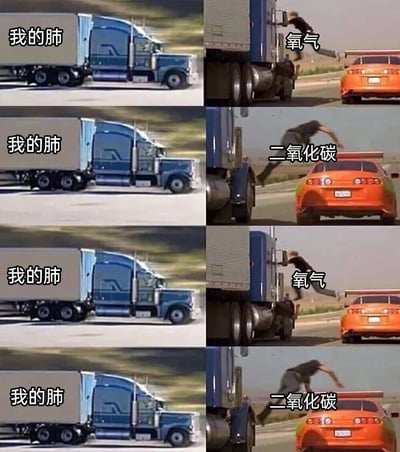 这是一张四格拼接的梗图，通过卡车和跑车的追逐场景幽默比喻肺部与气体交换的关系。左上和左下两格显示一辆蓝色大卡车，旁边标注"我的肺"；右上和右下两格则是一名男子从卡车上跳跃向橙色跑车的画面，分别标注"氧气"和"二氧化碳"。整个梗图用夸张的动作场景形象地表现了肺部吸入氧气、排出二氧化碳的生理过程。
