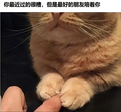 图片上方配有文字'你最近过的很糟，但是最好的朋友陪着你'，主体内容为一只橘猫的近景特写，猫咪的脸部和前爪清晰可见，它正用柔软的爪子轻轻握住一只人的手指，画面温馨治愈，传递出即使生活不顺但有朋友陪伴的温暖情感。