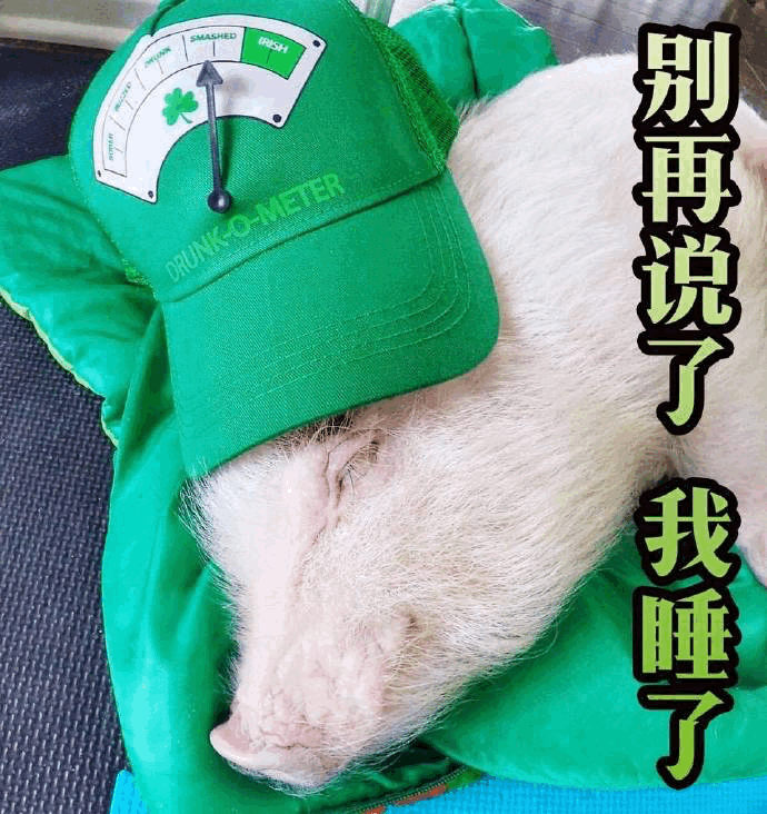 戴醉量表帽子的猪：别再说了我睡了