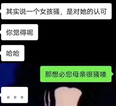这是一张聊天记录截图形式的梗图，展示了一段关于"说女孩骚是认可"的争议性对话。图中上方白色气泡显示"其实说一个女孩骚，是对她的认可"和"你觉得呢"，随后是简短的"哈哈"回应。最下方绿色气泡以"那想必您母亲很骚喽"进行有力反驳，最后以省略号"..."和动漫角色捂嘴震惊的表情结束，形成强烈的讽刺和搞笑效果。