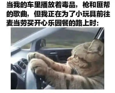 图片上方配有文字描述场景：当车里播放着涉及毒品、枪和匪帮内容的歌曲时，却正开车前往麦当劳购买开心乐园餐只为得到小玩具。下方图片中一只猫用前爪握着汽车方向盘，身体微微侧倾，眼神专注地看着前方，仿佛正在认真驾驶。整体通过强烈的反差制造幽默效果——硬核的音乐内容与为儿童玩具去买套餐的可爱行为形成鲜明对比，搭配猫开车的拟人化画面增强趣味性。