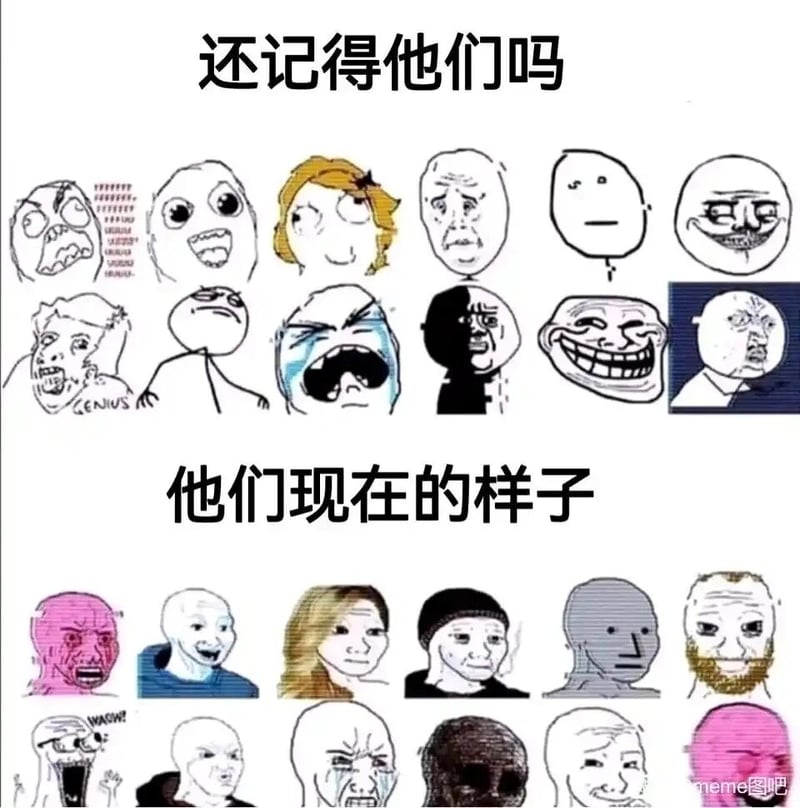 现代网络meme