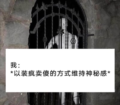 这是一张自嘲风格的网络梗图，画面上半部分是一个站在石墙拱形铁栅栏后的怪异人形，该人形头部形态怪异，身体被铁栅栏分割开来，营造出诡异的视觉氛围；画面下半部分的白色框内配有自嘲式文案“我：*以装疯卖傻的方式维持神秘感*”。通过诡异的视觉形象和搞笑的文字内容形成反差，生动调侃了部分人在社交中，用看似疯癫、不着调的行为来塑造自身神秘人设的有趣心态，将这种刻意维持人设的行为以滑稽的方式呈现出来。