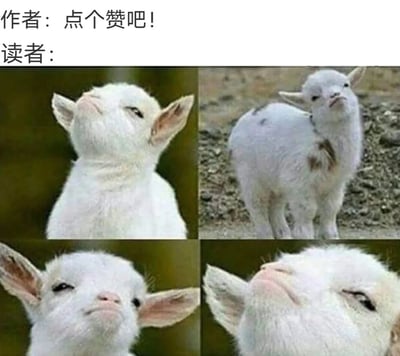 图片上方有文字'作者：点个赞吧！'和'读者：'，下方是四张不同表情的白色小羊照片，分别呈现出抬头、侧视等可爱姿态，用动物表情幽默表现读者看到作者求赞时的反应。